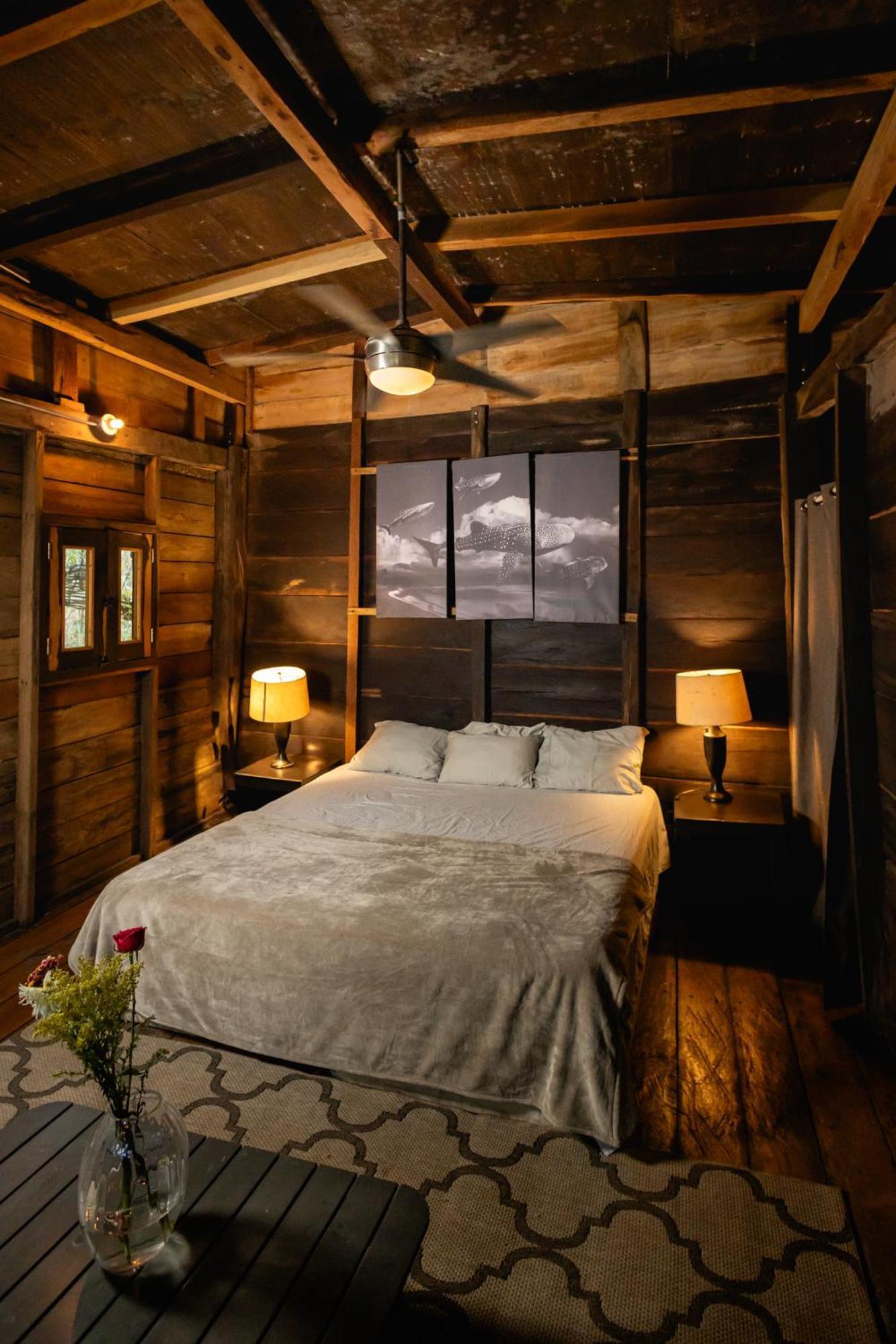 Cheel Lodge & Camping Пуерто Морелос Екстериор снимка