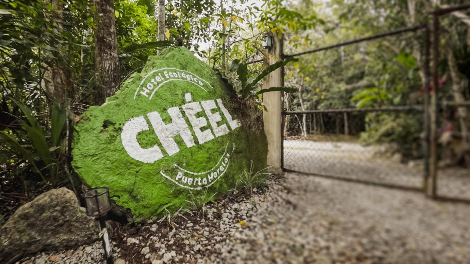 Cheel Lodge & Camping Пуерто Морелос Екстериор снимка
